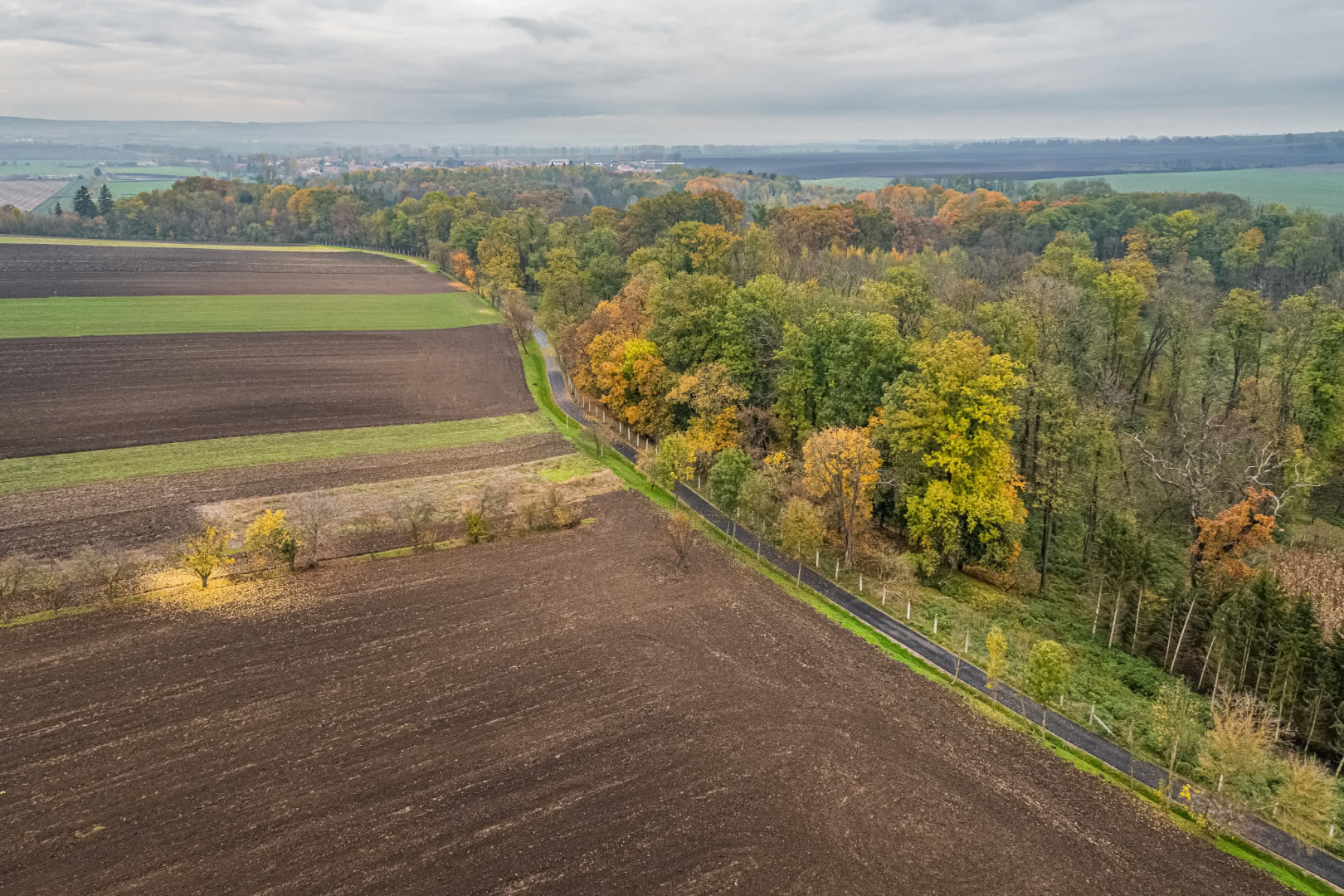 Cyklostezka Šlapanicko - Wegen- en bruggenbouw