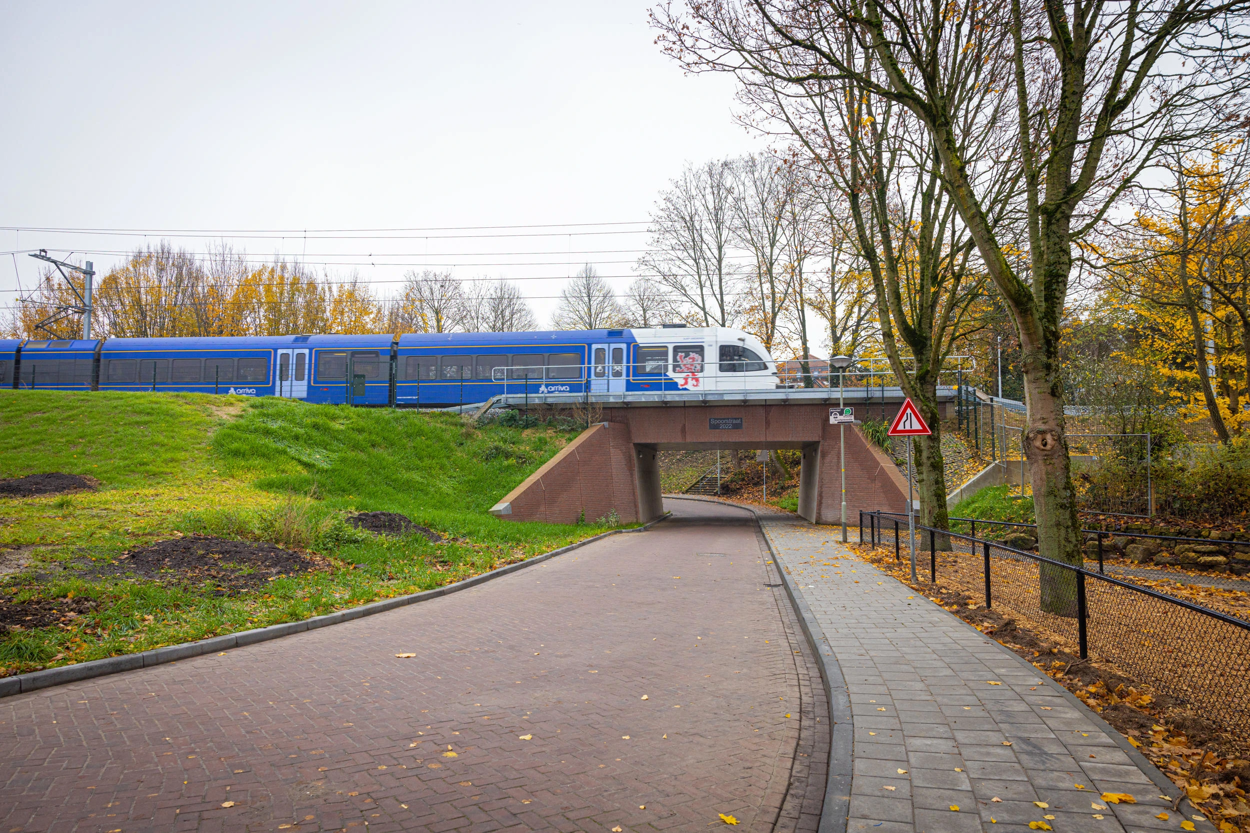 20221129 114240 SV0194