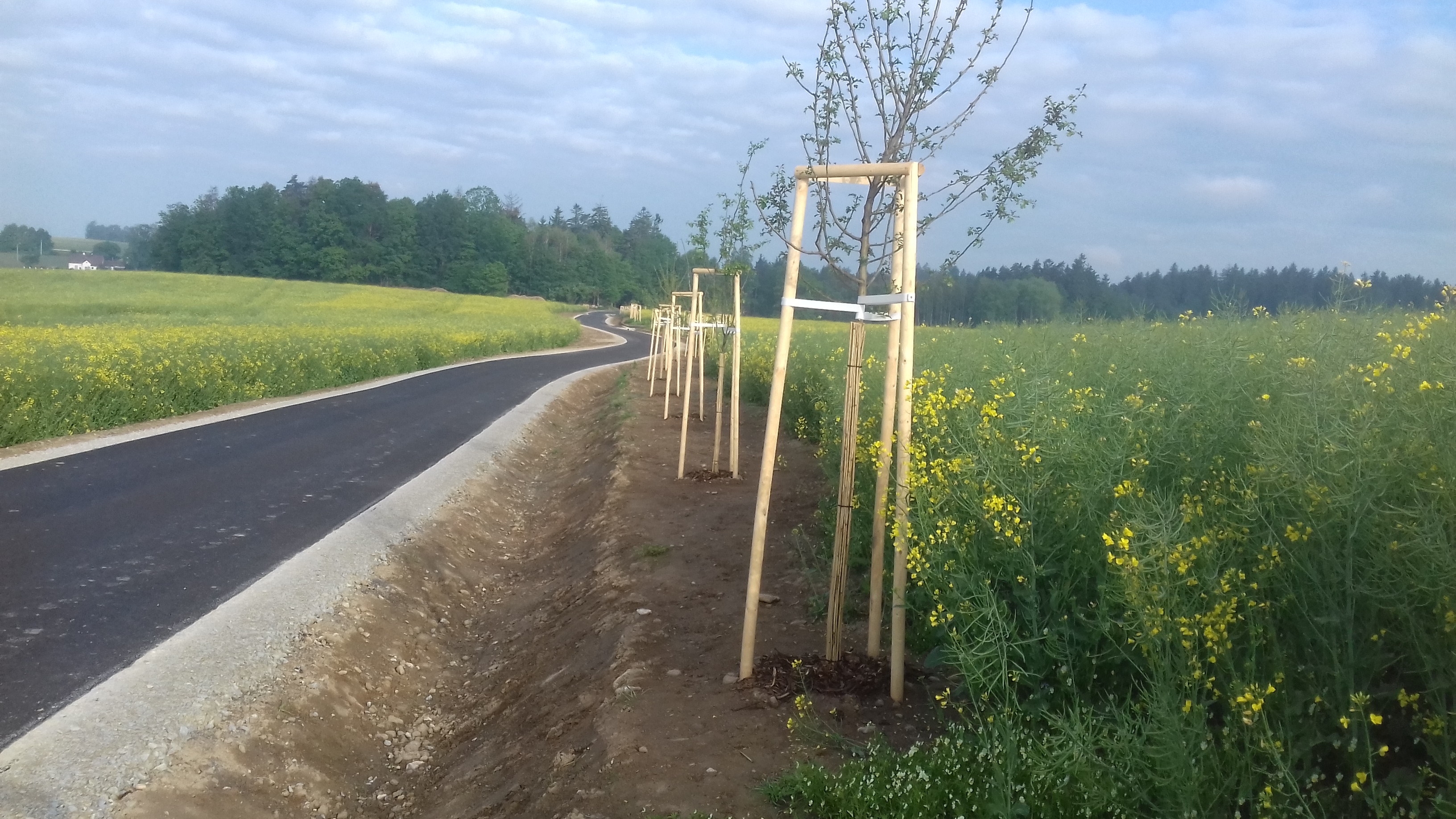 Cyklostezka – propojení katastrálních území Matná–Buk         - Wegen- en bruggenbouw